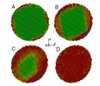 Researchers Probe Structural Phase Transition of Shape Memory Nanospheres
