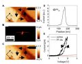 Conductive 1D Vortex-Cores