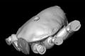 NanoCT Lab Scans Prehistoric Mite Riding on a Spider