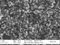 NASA Scientists Produce Carbon Nanotube Coating with Excellent Absorbent Capabilities