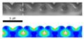 Researchers Discover Unique Properties in Nanowrinkles and Nanofolds