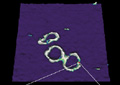 JPK's NanoWizard3 AFM Gets New Quantitative Imaging Capabilities