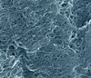 NIST Reference Material for Single-Wall Carbon Nanotubes Facilitates Comparison Study