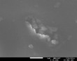 Nanoscale Study Helps Assess Clinpro Toothpaste’s Hypersensitivity Benefits