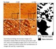 Researchers Discover Unique Nanodomain Defect in Quasicrystals