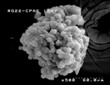 Three-Dimensional Tissue Model Helps Advance Therapeutic Nanocarriers