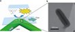 Gold Nanorod Study Results Help Develop Better Fuel Cell Catalysts