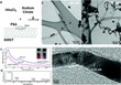 Novel Self-Assembly Technique to Grow Gold Nanowires for Chemical Sensing