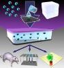Nanocrystals Embedded in Glass Emit Light in UV Spectrum