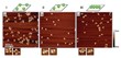 NIST Researchers Develop DNA Origami Method to Assemble Nanostructures