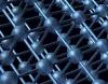 Silver Nanoparticles Affect Testicular Cells