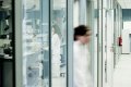 Ionic Liquids Experts Meet in San Sebastian for PIL-to MARKET Workshop