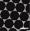 Researchers Track Single Molecules Using Optical Nanoantennas