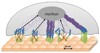 Implants with Nanomodified Surfaces Prevent Redevelopment of Breast Cancer Cells