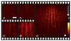 Single-Molecule Imaging of Quantum Interference