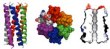 New Grant to Develop Peptide Nanotubes