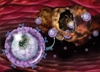BIND Biosciences Reports Positive Phase I Clinical Results on First Prostate Nanomedicine