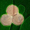 Researchers Develop High-Porosity Carbon Nanomaterial to Advance Lithium-Sulfur Batteries