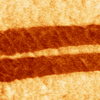 Researchers Demonstrate Ferroelectricity in Glycine Using Piezoresponse Force Microscopy