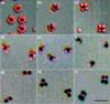 Researchers Devise New Technique to Create Intricate Nanostructures
