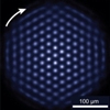 New Quantum Simulator Promotes Interactions Between Hundreds of Qubits
