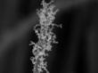Flame Annealing Technique Improves Surface Area of Nanowires