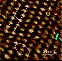 Thin-Film Bio-Copolymer Raises Physical Limit to Microprocessor Performance