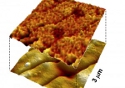 Piezoelectric Viruses Power Thin-Film Generator