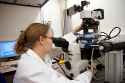 JPK Instruments Reports on Use of NanoWizard AFM for Dr Jochen Guck's Biological Research