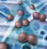 Researchers Find Forces Behind Oriented Attachment in Nanocrystal Growth