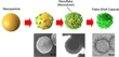 Researchers Develop New Capsule for Controlled Drug Delivery Using Silica Nanosheets