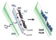 New Semiconductor-Graphene-Metal Film Can Detect Ultra-Low Concentrations of Environmental Contaminants