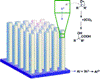 Researchers Use Silicon Nanowires to Synthesize Precursors of Painkillers
