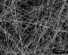 NUENZ Seeks Support from InVentures for Commercialization of Advanced Nanofibers