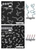Researchers of Nanoplasmonics Develop Self-Assembling Nanocubes