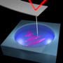 Researchers Develop New Microscopy Technique to Image Soft Biological Samples