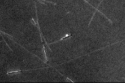 Nanolane Reports on Bacterial Slime Study Using T-Surfs Slides
