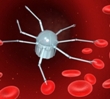 Sydney to Host Third International Nanomedicine Conference