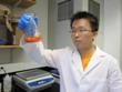 Selenium Nanoparticles Can Fight Staph Bacteria on Medical Implants