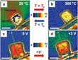 Scientists Image Individual Atoms of Ferroelectric Nanomaterials