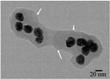 Researchers Use Strawberry Leaf to Produce Highly Stable Silver Nanoparticles