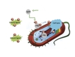 Mechanism of Silver Microbial Toxicity Discovered: Silver Ions, Not Nanoparticles, Kill Microbes.