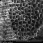 New Technique to Fabricate Multiple Anodes from Single Wafers for Rechargeable Batteries