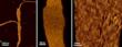Man-made Pores Imitate Cellular Ion Channels