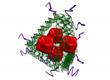 DNA Nanotechnology Paves for New Class of Synthetic Vaccines