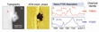 Nano-FTIR Technique Facilitates Nanoscale Chemical Identification and Mapping of Materials