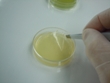 NanoLogix Participates in USA Today Group B Strep Awareness Campaign