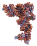 RNA-Delivering Nanoparticles Selectively Target Genes to Shrink Tumor in Mice