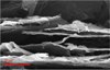 New Graphene Anode Material Helps Develop High-Power Density Li-Ion Batteries