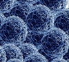 New  Method to Measure Catalytical Reactions of Single Nanoparticles